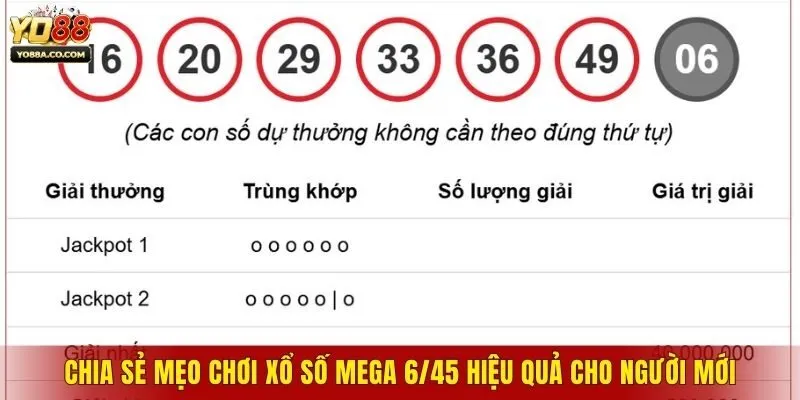 Chia sẻ mẹo chơi xổ số Mega 6/45 hiệu quả cho người mới
