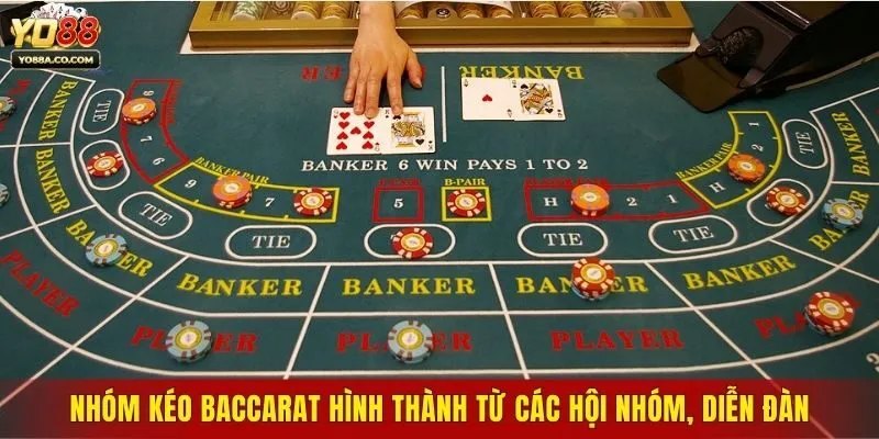 Nhóm kéo Baccarat hình thành từ các hội nhóm, diễn đàn